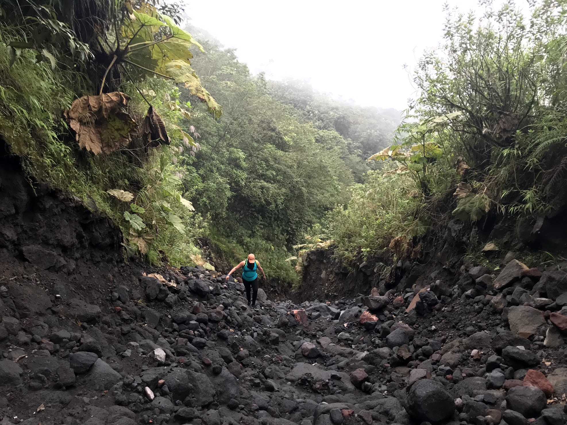  Dried Lava River Bed 