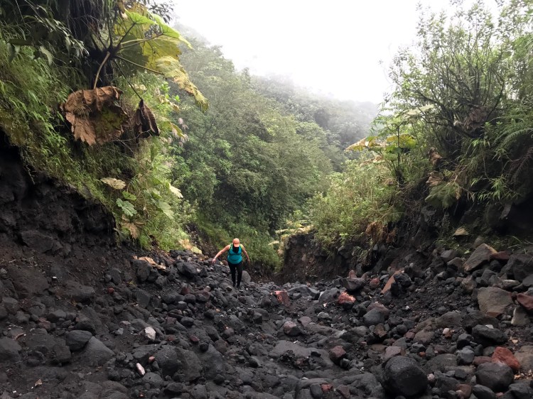 Dried Lava River Bed